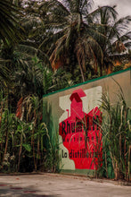 Indlæs billede til gallerivisning Rhum J.M 2012 Single Barrel Romhatten Cask Selection #7