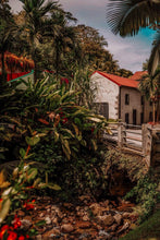 Indlæs billede til gallerivisning Rhum J.M 2012 Single Barrel Romhatten Cask Selection #7