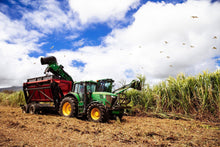 Indlæs billede til gallerivisning Rhum J.M 2012 Single Barrel Romhatten Cask Selection #7