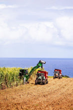 Indlæs billede til gallerivisning Rhum J.M 2012 Single Barrel Romhatten Cask Selection #7