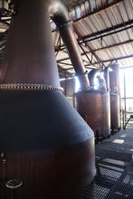 Indlæs billede til gallerivisning Hampden 2011 Romhatten Cask #1 Sad Flycatcher