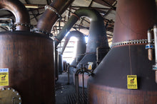 Indlæs billede til gallerivisning Hampden 2011 Romhatten Cask #1 Sad Flycatcher