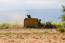 Indlæs billede til gallerivisning Fadandel #1: New Yarmouth Jamaican Rum Virgin Oak Cask 2020