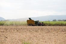 Indlæs billede til gallerivisning Fadandel #1: New Yarmouth Jamaican Rum Virgin Oak Cask 2020