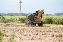 Indlæs billede til gallerivisning Fadandel #1: New Yarmouth Jamaican Rum Virgin Oak Cask 2020