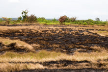 Indlæs billede til gallerivisning Fadandel #1: New Yarmouth Jamaican Rum Virgin Oak Cask 2020