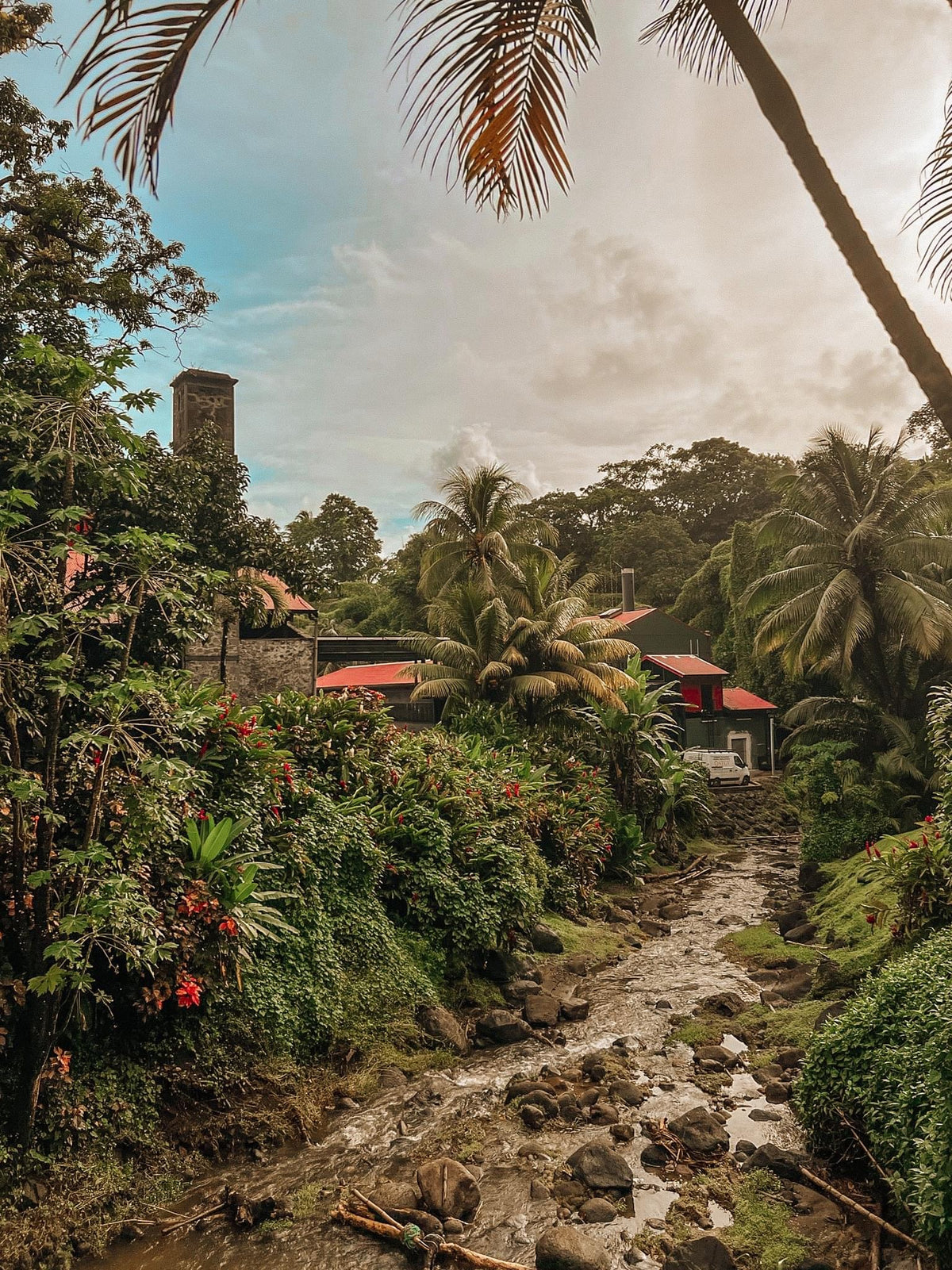 Habitation J.M i regnskoven på Martinique