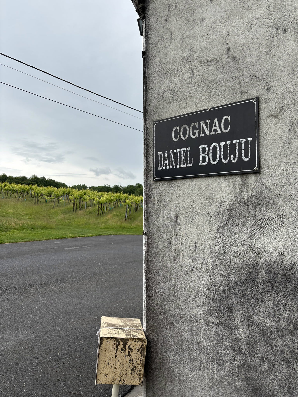 Skiltet ved Cognac Daniel Bouju i Saint-Preuil med vinmarkerne i Grande Champagne i baggrunden